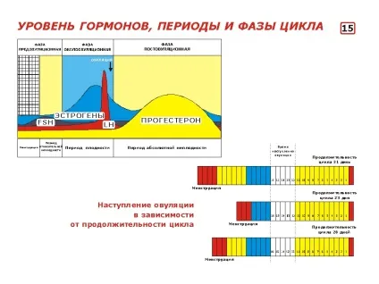 Репродуктивна гормональна система, екологічне подружжя (система) Репродуктивна гормональна система, екологічне подружжя