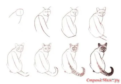 Малюємо кішку поетапно НЕ олівцем - як намалювати аніме малюємо поетапно олівцем (кішку) Малюємо кішку поетапно НЕ олівцем - як намалювати аніме малюємо поетапно олівцем