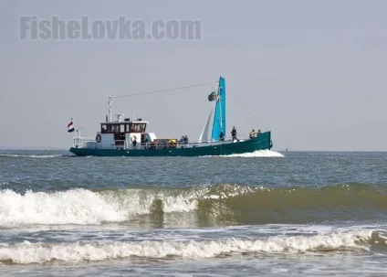 Риболовля на чорному морі з берега і човни види риб і снасті для лову (море) Риболовля на чорному морі з берега і човни види риб і снасті для лову