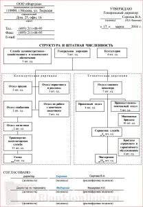 Структура і штатна чисельність організації (структура і штатна чисельність) Структура і штатна чисельність організації