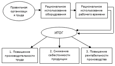 Сутність і зміст організації праці