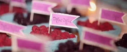 Весілля в малиновому кольорі наряди, декор та меню (кольорі) Весілля в малиновому кольорі наряди, декор та меню