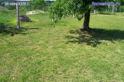 Будівництво штучної водойми своїми руками (штучна водойма) Будівництво штучної водойми своїми руками