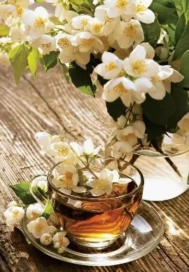 Садова меблі для дачі (20 фото)