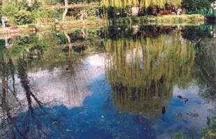 Сад Клода Моне 1