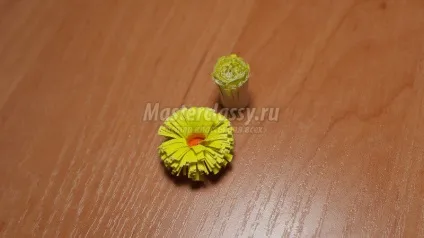 Ромашки і кульбаби в техніці квіллінг (популярність) Ромашки і кульбаби в техніці квіллінг