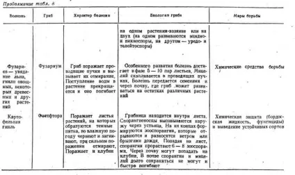 Роль грибів у природі і їх господарське значення (роль грибів в природі і їх господарське значення) Роль грибів у природі і їх господарське значення