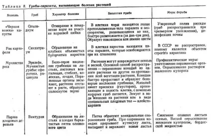 Роль грибів у природі і їх господарське значення (роль) Роль грибів у природі і їх господарське значення