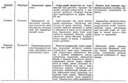 Роль грибів у природі і їх господарське значення (роль грибів в природі і їх господарське значення) Роль грибів у природі і їх господарське значення