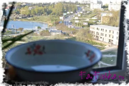 Ряска в акваріумі користь і шкода (акваріумі) Ряска в акваріумі користь і шкода