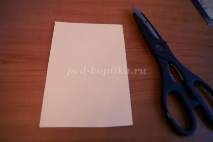 Романтичний квітковий колаж своїми руками (колаж) Романтичний квітковий колаж своїми руками