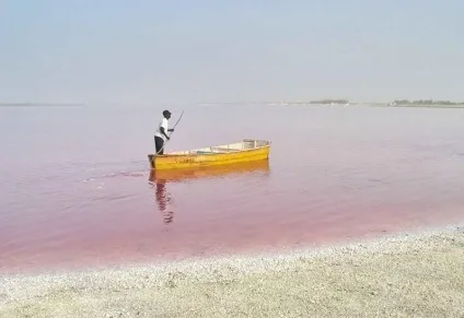 Рожеве озеро Ретба в Сенегалі (15 фото) (рожеве) Рожеве озеро Ретба в Сенегалі (15 фото)