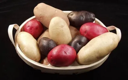 Найдорожчі продукти в світі ( «великий червоний халат») Найдорожчі продукти в світі