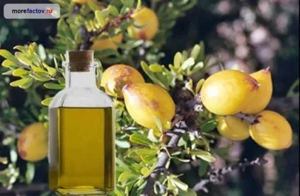 Найдорожчі продукти в світі (дорогі) Найдорожчі продукти в світі