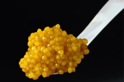 Найдорожчі продукти харчування (дорогі продукти харчування) Найдорожчі продукти харчування