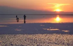 Самі незвичайні тварини світу (незвичайні) Самі незвичайні тварини світу