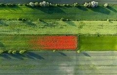 Самі незвичайні тварини світу (найнезвичайніші тварини світу) Самі незвичайні тварини світу