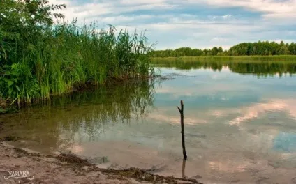 Саморобна підставка під вудку - статті про саморобки (саморобки) Саморобна підставка під вудку - статті про саморобки