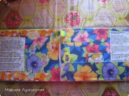 Саморобна книжка для дочки - феї, країна майстрів