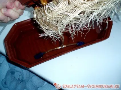 Саморобна установка для вирощування зеленого лука - пера, майстер-клас своїми руками