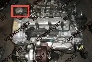 Самостійна заміна масла двигуна (всі моделі) - двигун - opel antara клуб (двигун) Самостійна заміна масла двигуна (всі моделі) - двигун - opel antara клуб