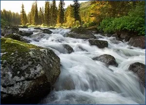 Сайт про плавання водні фобії - страхи, пов'язані з водою (водою) Сайт про плавання водні фобії - страхи, пов'язані з водою