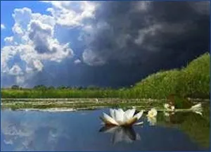 Сайт про плавання водні фобії - страхи, пов'язані з водою (фобії) Сайт про плавання водні фобії - страхи, пов'язані з водою