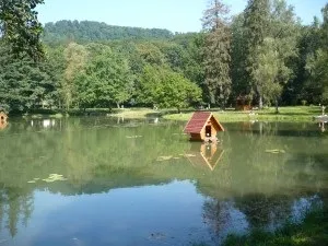 Санаторій Карпати на закарпаття - ціни 2017, відгуки, відпочинок і лікування в санаторії карпати мукачево (ціни) Санаторій Карпати на закарпаття - ціни 2017, відгуки, відпочинок і лікування в санаторії карпати мукачево