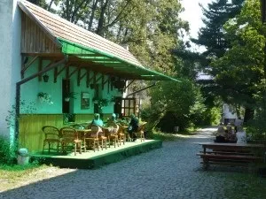 Санаторій Карпати на закарпаття - ціни 2017, відгуки, відпочинок і лікування в санаторії карпати мукачево (Закарпаття) Санаторій Карпати на закарпаття - ціни 2017, відгуки, відпочинок і лікування в санаторії карпати мукачево