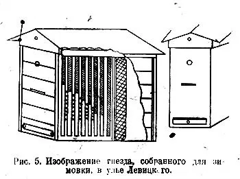 Збірка вуликів на зимівлю бджіл (бджіл) Збірка вуликів на зимівлю бджіл