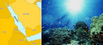 Найсолоніше море