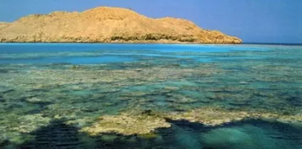 Найсолоніше море