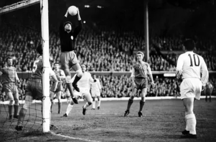 Збірна франції з футболу (збірної Франції футболу) Збірна франції з футболу