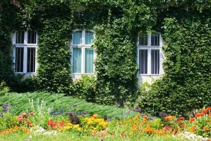 Секрети і методики вертикального озеленення, технології () (вертикального) Секрети і методики вертикального озеленення, технології ()