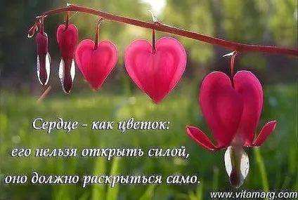 Серце - як квітка! (Ольга Місевич)