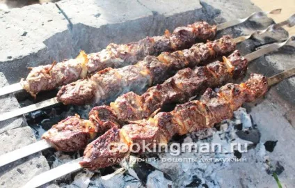 Шашлик з лосятини - кулінарія для чоловіків (шашлик з лосятини рецепт з фото) Шашлик з лосятини - кулінарія для чоловіків
