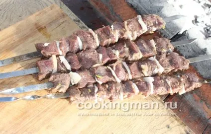 Шашлик з лосятини - кулінарія для чоловіків (шашлик з лосятини рецепт з фото) Шашлик з лосятини - кулінарія для чоловіків