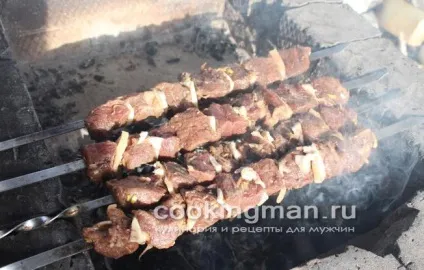 Шашлик з лосятини - кулінарія для чоловіків (шашлик з дичини) Шашлик з лосятини - кулінарія для чоловіків