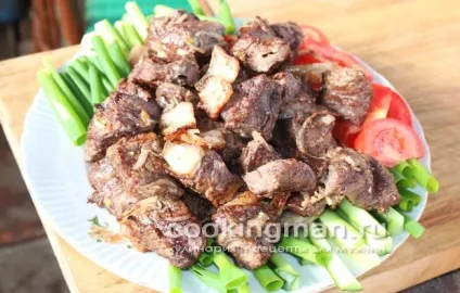 Шашлик з лосятини - кулінарія для чоловіків (шашлик з лосятини фото) Шашлик з лосятини - кулінарія для чоловіків