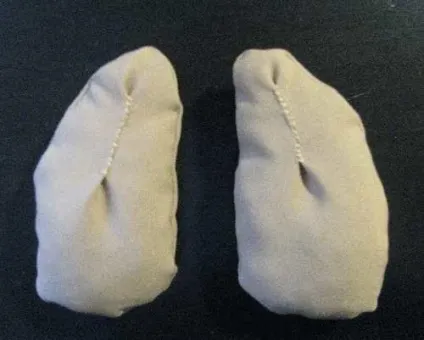 Шиємо таксу в стилі тильда - ярмарок майстрів - ручна робота, handmade (іграшка) Шиємо таксу в стилі тильда - ярмарок майстрів - ручна робота, handmade
