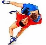 Силові види спорту дзюдо або самбо