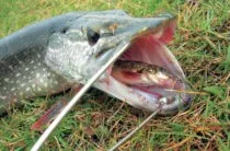 Щука на джиг головку (лову використанням джиг-головки) Щука на джиг головку