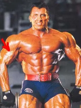Синтол (synthol)