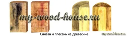 Синьова і цвіль на матеріалах з деревини, дерев'яні будинки (посиніння деревини) Синьова і цвіль на матеріалах з деревини, дерев'яні будинки