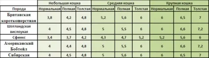 Скільки важить кішка