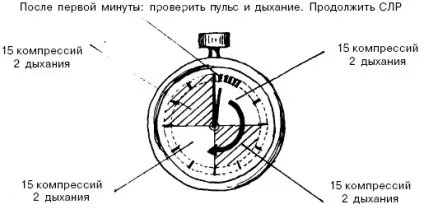 СЛ дорослого постраждалого