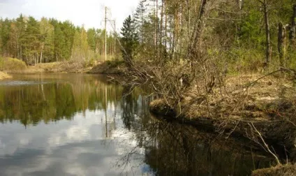 Снасті на миня і правильна оснащення своїми руками (снасті) Снасті на миня і правильна оснащення своїми руками