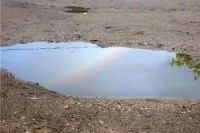 сонник любов