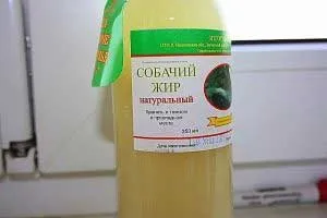 Собачий жир лікувальні властивості і протипоказання до застосування (собачий жир протипоказання) Собачий жир лікувальні властивості і протипоказання до застосування