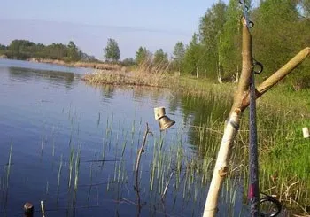 Сом людожер - випадки нападу! (Людожер) Сом людожер - випадки нападу!